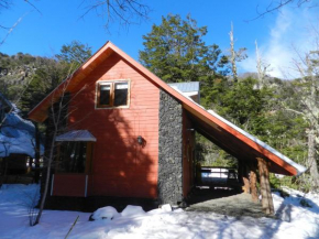 Отель Cabañas en Termas de Chillán  Пинто